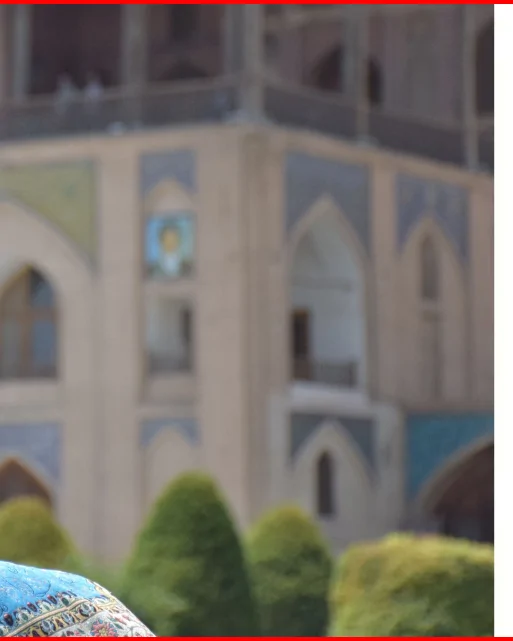 حامی 